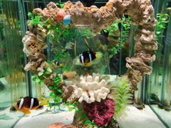 -太平洋海底世界