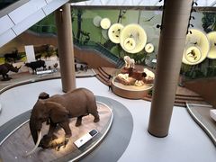 -陕西自然博物馆