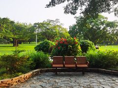-东莞植物园