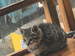 -一洲餐厅(青少年宫路店)