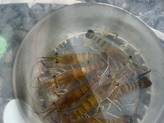 -DGE季风钓虾营地·团建·聚会
