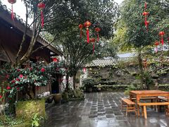 -青城甲(青城山店)