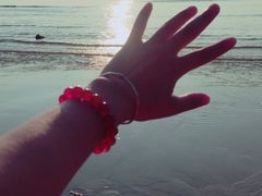 -西涌国际滨海旅游区