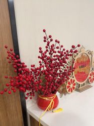 -上海玫瑰医疗美容医院