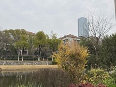 -西北湖绿化广场