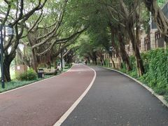 -南宁南湖公园
