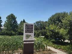-意大利农场度假村