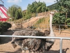 -无锡动物园·太湖欢乐园