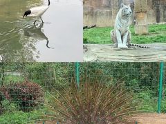 -杭州野生动物世界