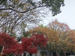 -天目湖御水温泉·度假酒店