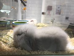 -万达广场(济南魏家庄店)