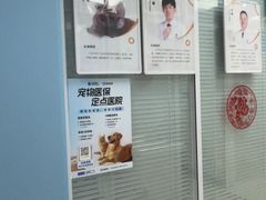 -全心全意连锁动物医院·微创中心·内科急重症·心脏专科(丰管路店)