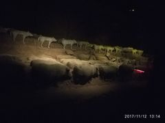 -汉景帝阳陵博物院