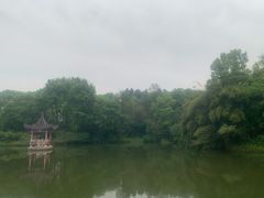 -青龙山国家森林公园