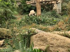 -石排湾郊野公园