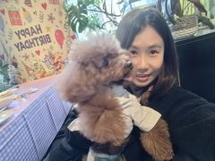 -百好乐宠物友好餐厅(朝外大街店)