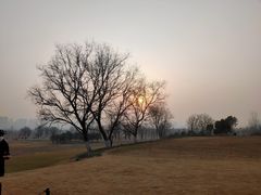 -汉长安城未央宫国家考古遗址公园