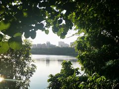 -广东花都湖国家湿地公园
