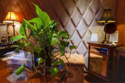 点击看大图 -TIME SPA科技美肤机构