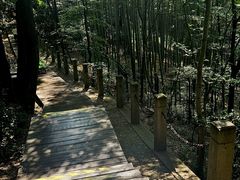 -上海佘山国家森林公园西佘山园