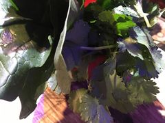 -渔码头烤鱼(美食城店)
