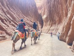 -天山神秘大峡谷