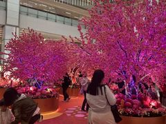 -新城市广场