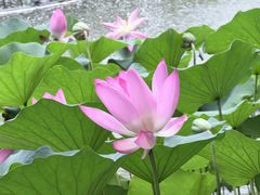 -潇湘甲鱼村(清河店)