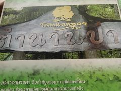 -绿光森林餐厅