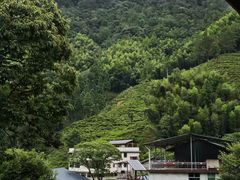 -华祥苑茶馆•国缤茶小蓝罐(普罗旺斯店)