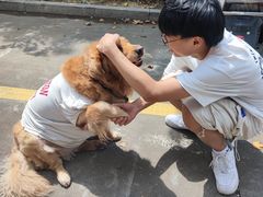 -圆梦证件照拍摄(人民西路店)