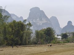 -明仕田园