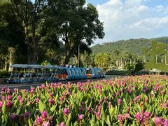 -东南花都花博园