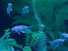 -常州海昌海洋探索馆