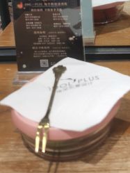 -IDOL-PLUS