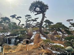 -罗红摄影艺术馆