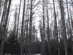-长春净月潭风景名胜区