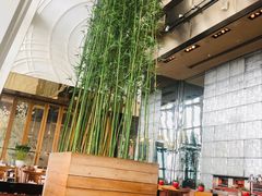 靠窗位-上海柏悦酒店·世纪100牛排馆