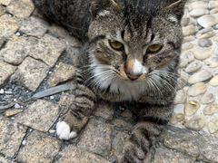 -金海华·华宴江南(斜塘店)