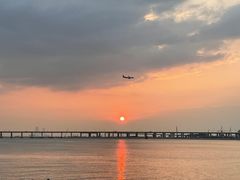 -宝安西湾红树林湿地公园