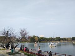 -圩墩遗址公园