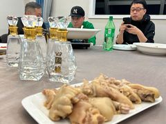 -丁老爷子苏香圆