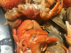 -苏大嘴海鲜牧场(奥林匹克店)