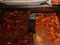 -二荆条·蜀鲜汇城市森林火锅