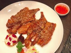 沙律麻香鸡-天瑞轩·粤菜餐厅