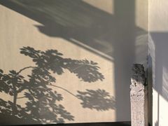 -青岛朗艺美术馆·海景咖啡