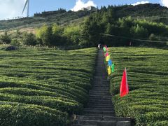 -东白山