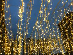 -臻鲜燕海鲜融合餐厅(金陵style店)