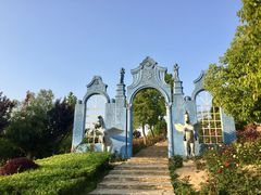 -大塘金香草谷