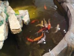 -鸥迪足道(湖南示范店)